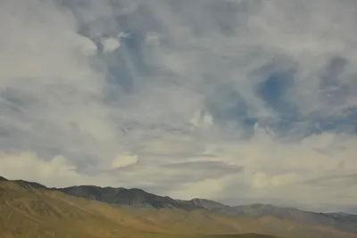 DSC_6574 (Large).JPG